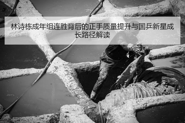 林诗栋成年组连胜背后的正手质量提升与国乒新星成长路径解读
